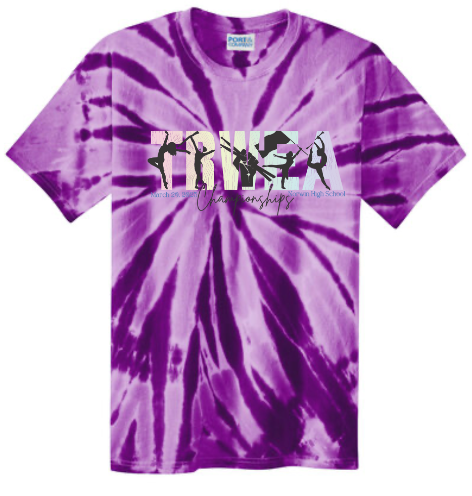 CHAMPION TIE DYE T-SHIRT- Ombre TRWEA