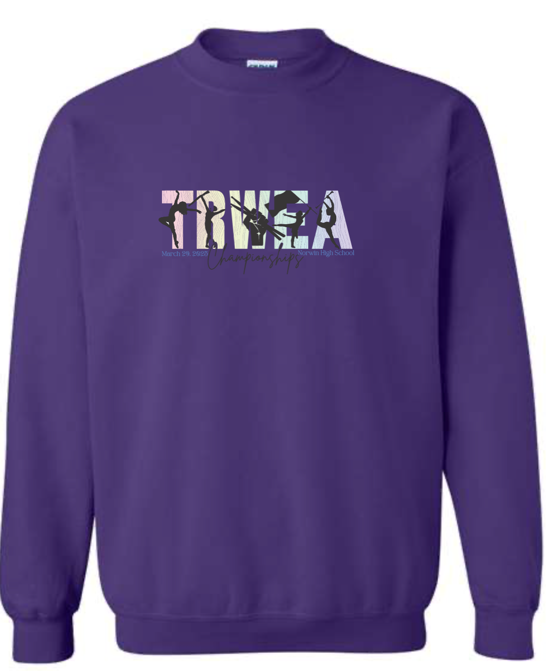 CHAMPION CREWNECK- Ombre TRWEA