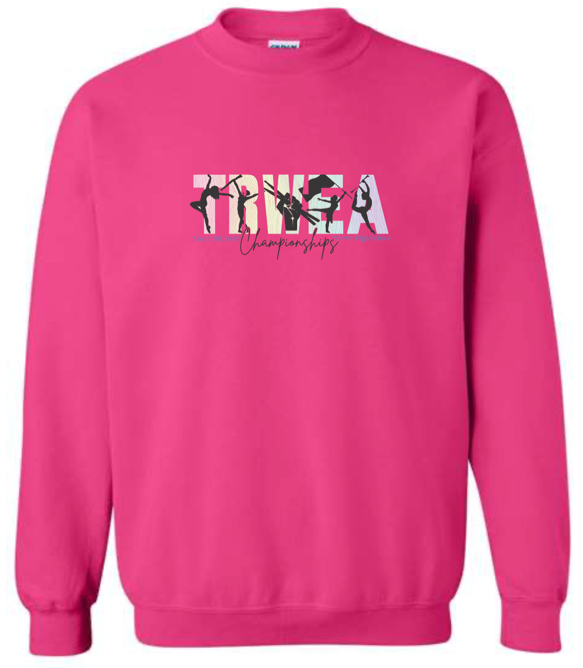 CHAMPION CREWNECK- Ombre TRWEA