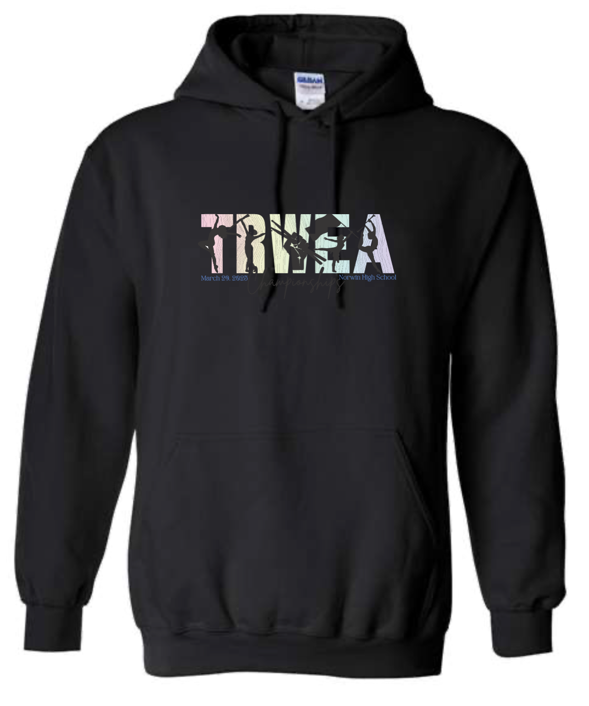 CHAMPION HOODIE- Ombre TRWEA