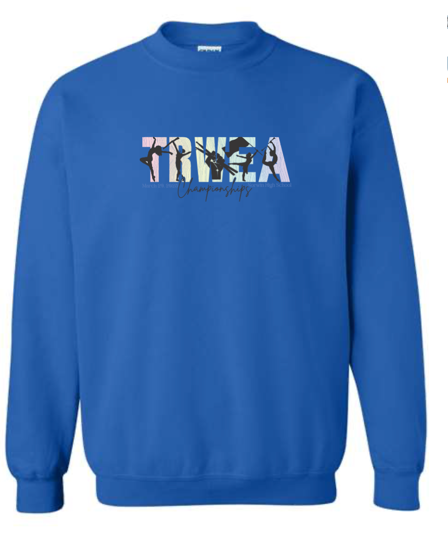 CHAMPION CREWNECK- Ombre TRWEA