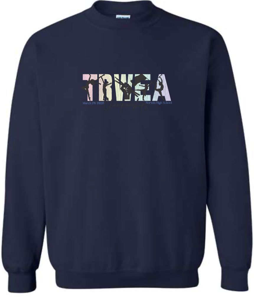 CHAMPION CREWNECK- Ombre TRWEA