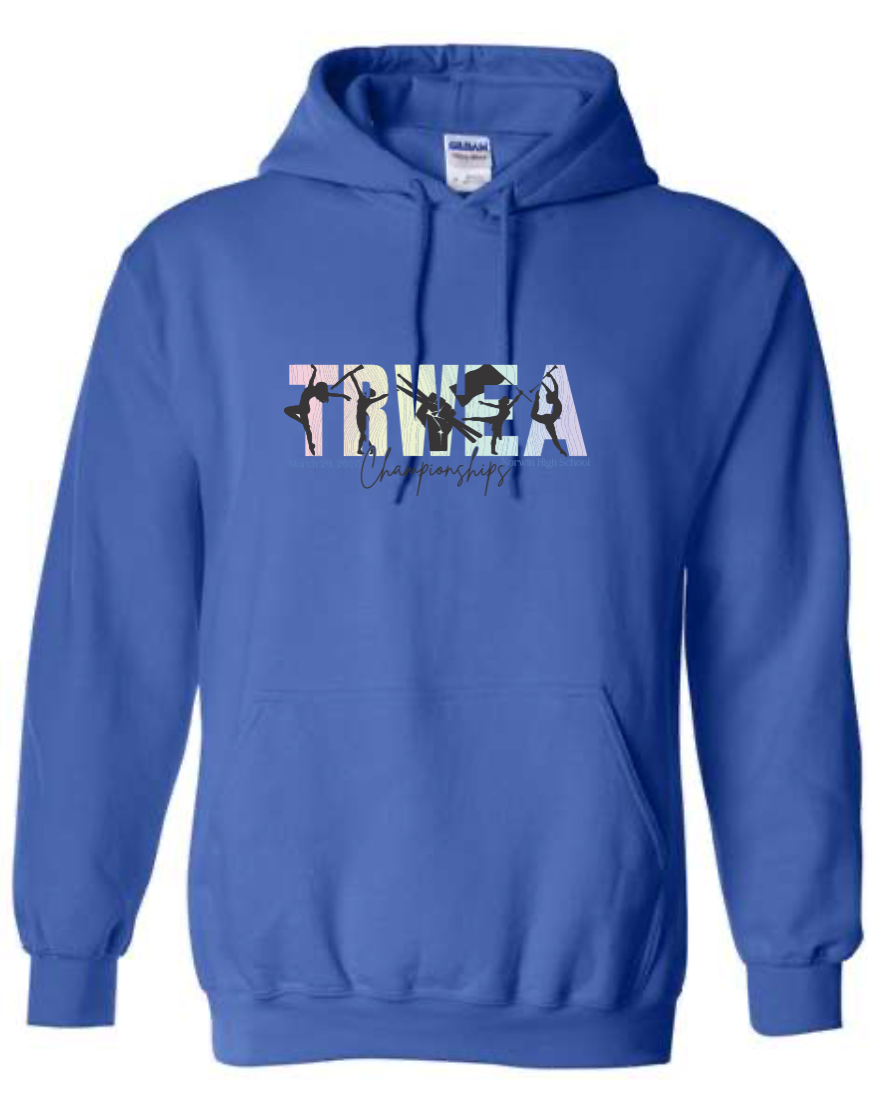 CHAMPION HOODIE- Ombre TRWEA